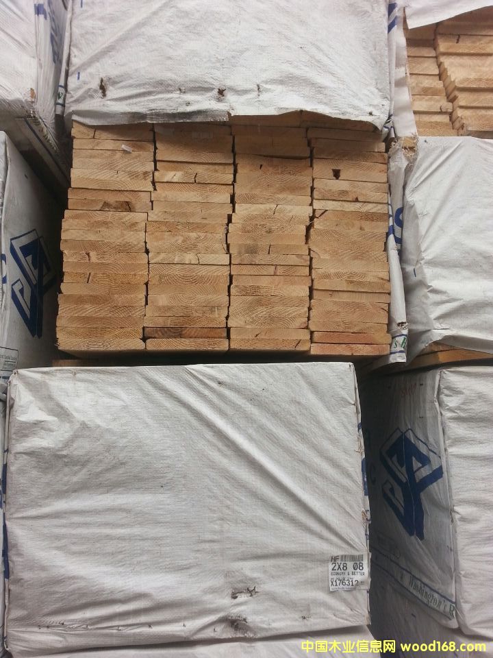 鐵杉的詳細介紹