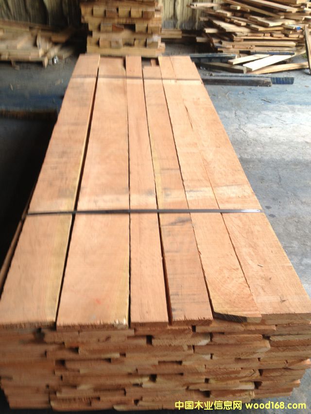 櫻桃木的詳細介紹