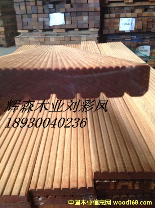 �̈́�ľ1��Ԕ��(x��)��B