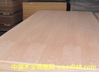 ָ�Ӱ����z�ϰ塢�����z�ϰ��������N����Ӱ��Ԕ��(x��)��B