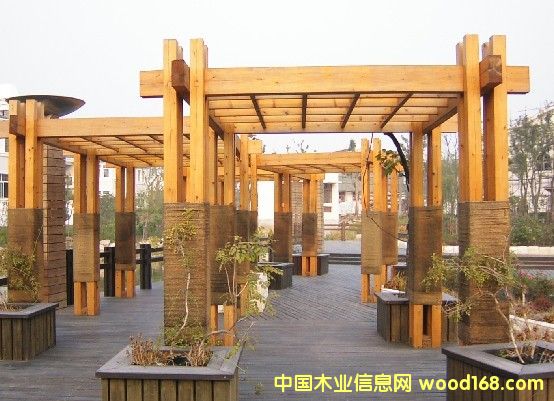 ����(y��ng)�t�������ľ