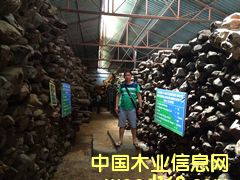 qС�~��̴��Ԕ����B