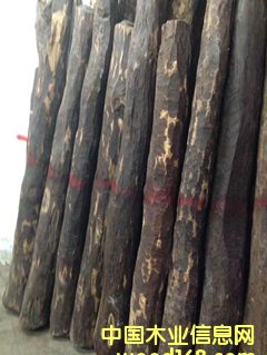 ӡ��С�~��̴��Ԕ����B