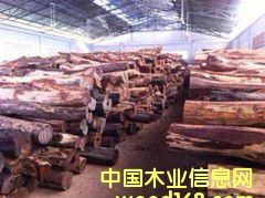 �ϓ��t��֦��Ԕ����B