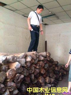 ӡ��С�~��̴��Ԕ����B