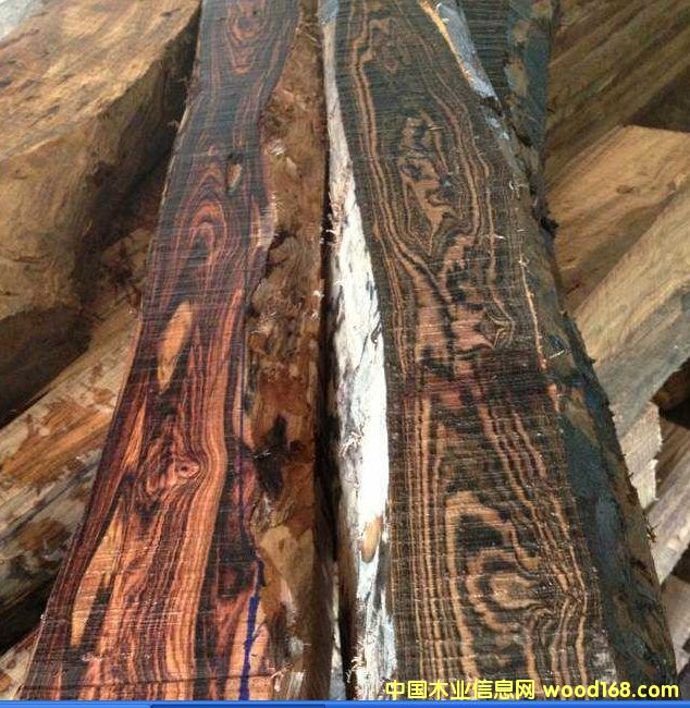 �����V����(y��u)�|(zh��)����ľ��Ԕ����B