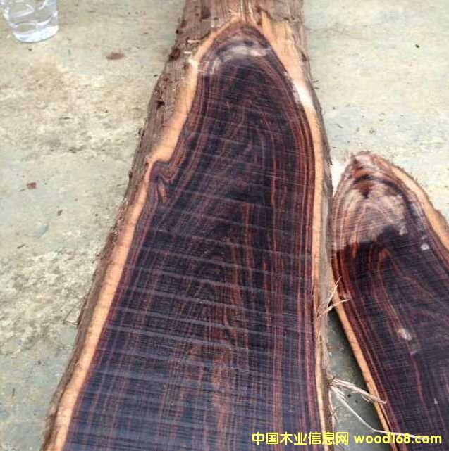 �����V����(y��u)�|(zh��)����ľ��Ԕ����B