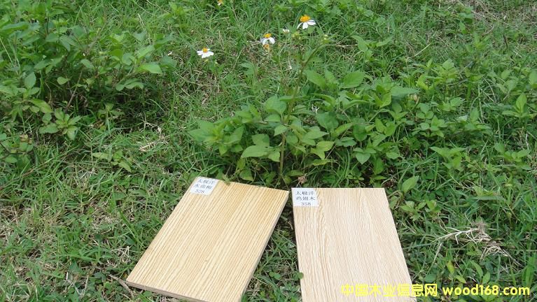 10��Ԕ��(x��)��B