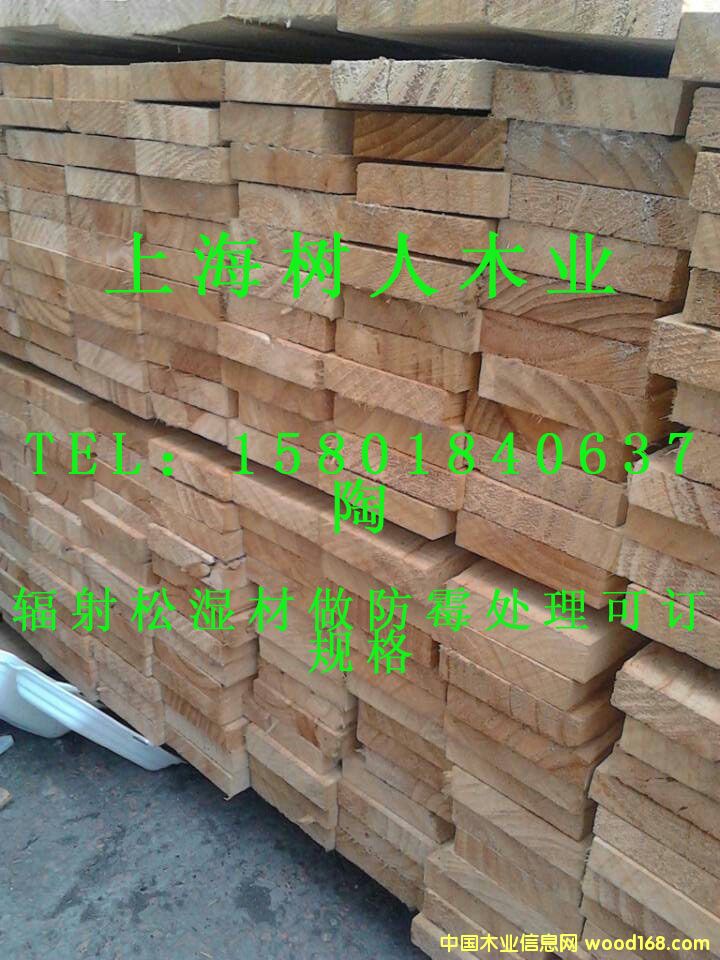 ����ݗ����