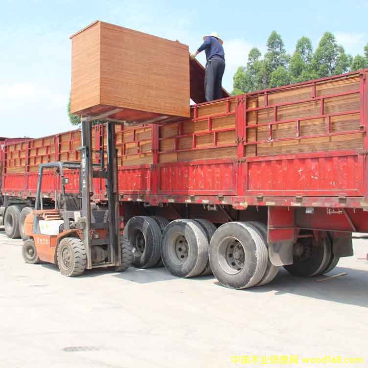 ��������ע��Ʒ�|���ߏ��Ƚ���ľ�z�ϰ塾10��ģ�����a��򞡿��Ԕ����B