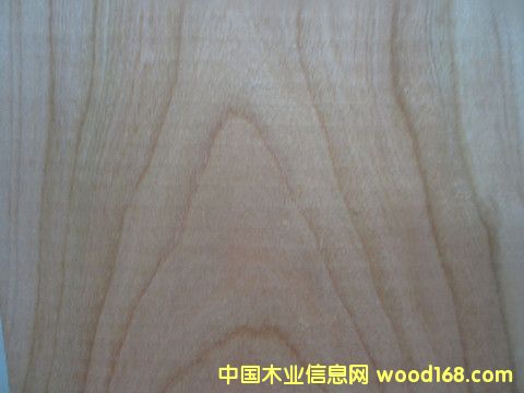 櫻桃的詳細(xì)介紹