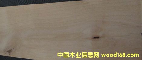 赤楊的詳細(xì)介紹