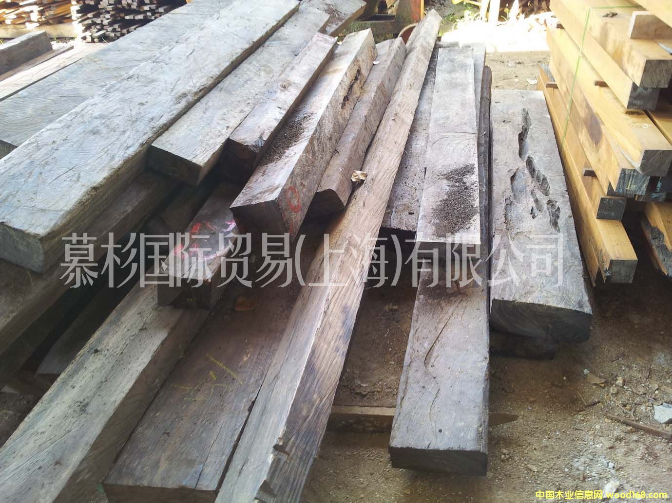 �K��������ľ