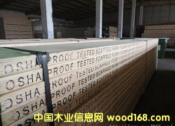 �_̤�����_�ּܰ��Ԕ��(x��)��B