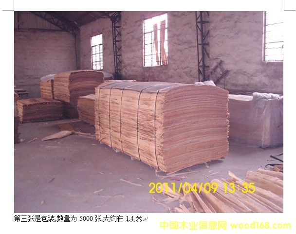 �z��ľľƤ��Ԕ��(x��)��B