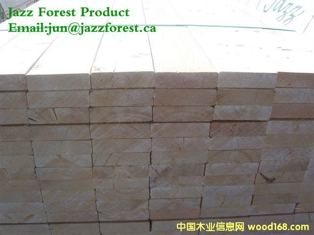 [��] ���ô���ľ�Ĺ�˾ֱ������SPF������ɼ���Fɼ