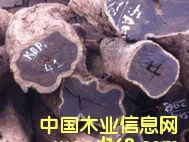 �Ϲ�̴��Ԕ����B