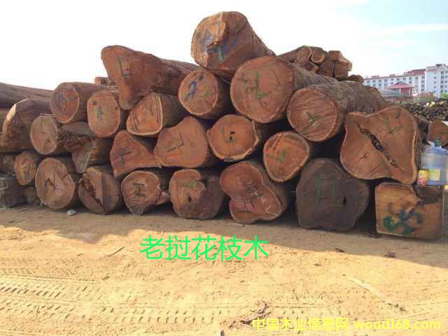 �ϓ뻨֦��Ԕ����B