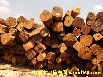 ���黨��ľ��Ԕ����B