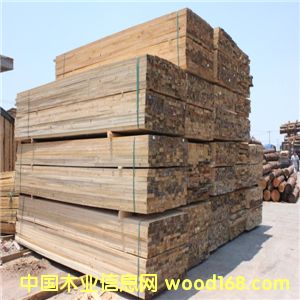 �����ɰ����ľ�� �����ɰ�� �S��ֱ�N ���˴��N��Ԕ����B