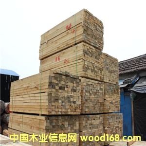 ݗ���� ݗ���ɽ���ľ�ϏS�Ҷ���ֱ�N(xi��o)������ľ