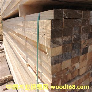 �S�ҹ���(y��ng)ݗ���� �F(xi��n)؛ݗ����ľ�����Ϲ���(y��ng) �ɶ���