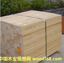 ݗ��������