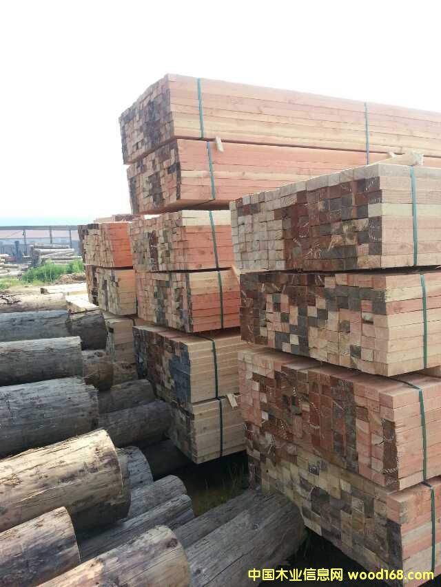 花旗的詳細(xì)介紹