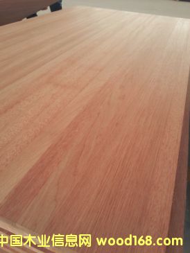 ����ľ��CP��ֱƴ��