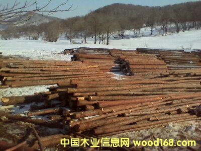 ���~�ɵ�Ԕ��(x��)��B