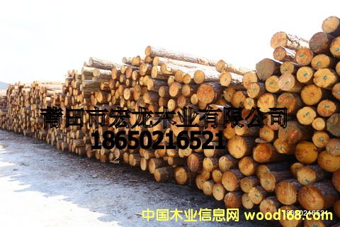 �����ԭľ��Ԕ����B