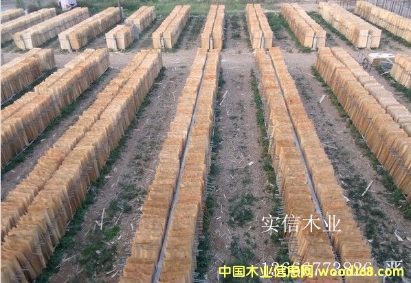 ��ľһ��(j��)���Ԕ��(x��)��B