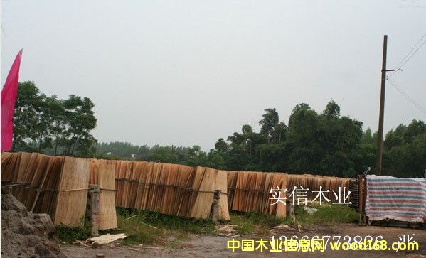 ��ľ���Іΰ��Ԕ��(x��)��B