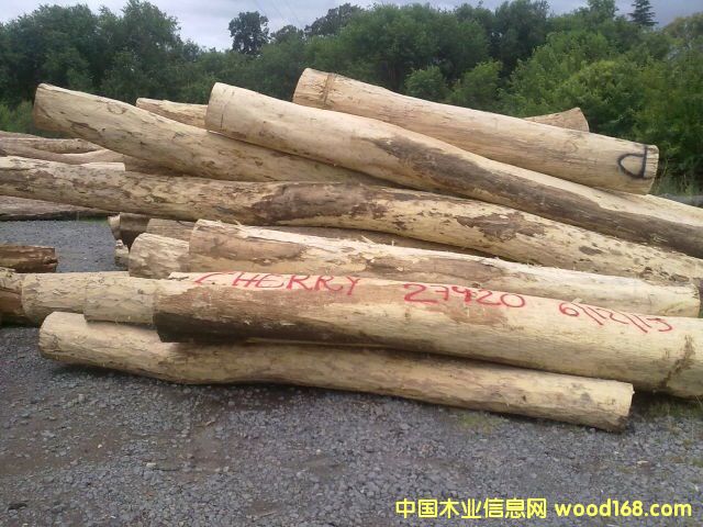 紅檀香的詳細(xì)介紹