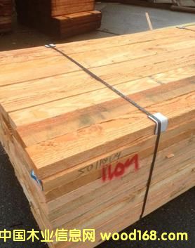 花旗松的詳細(xì)介紹