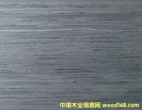 �ŵ���ľ019��Ԕ��(x��)��B