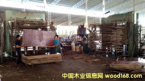 �V��һ��(j��)����ģ���Ԕ��(x��)��B