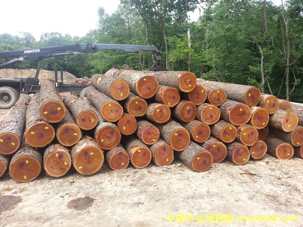 ��������ľԭľ��Ԕ��(x��)��B