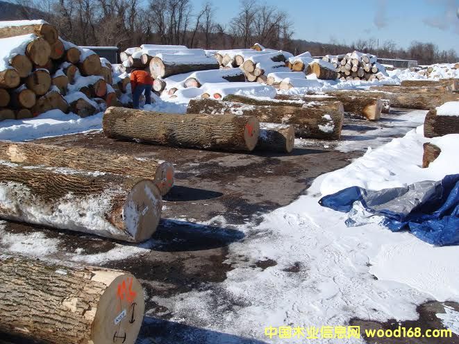 ����(gu��)�M(j��n)�ڰ�Ϟ