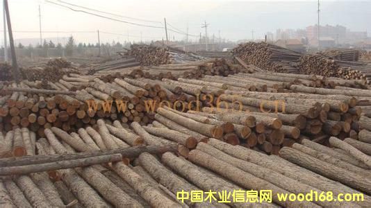 落葉松原木的詳細(xì)介紹