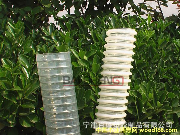 ���۹� ���S�� ��S��