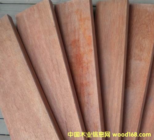 �t����ľ�ߙnľ�Ľ�B