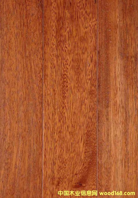 ɽ�|���}��r��