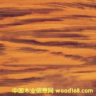 ��ľ��B ��ľ��;