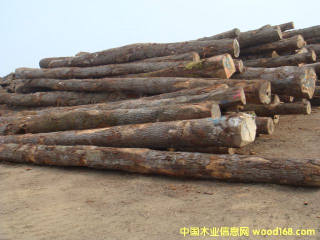 �W�ް����Ԕ��(x��)��B