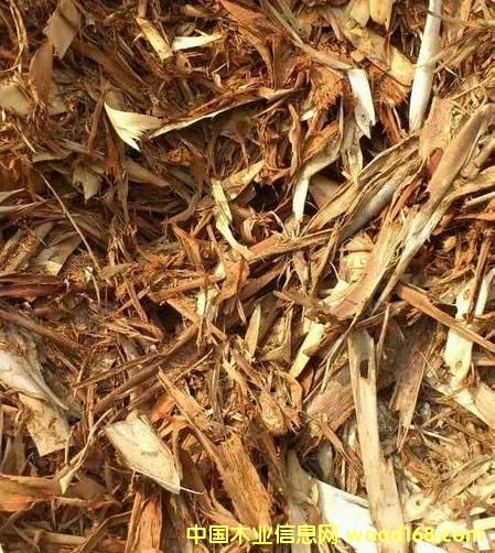 ��ľ��Ƥ��Ԕ��(x��)��B