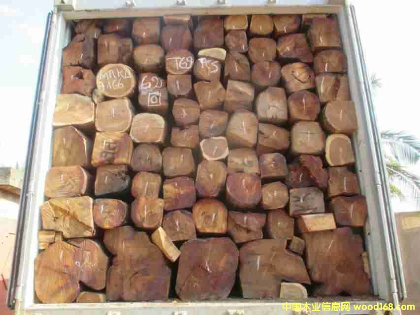 ���޻����Ԕ����B