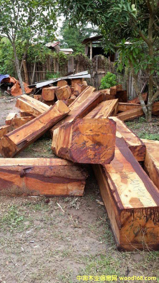 �����̴��Ԕ����B