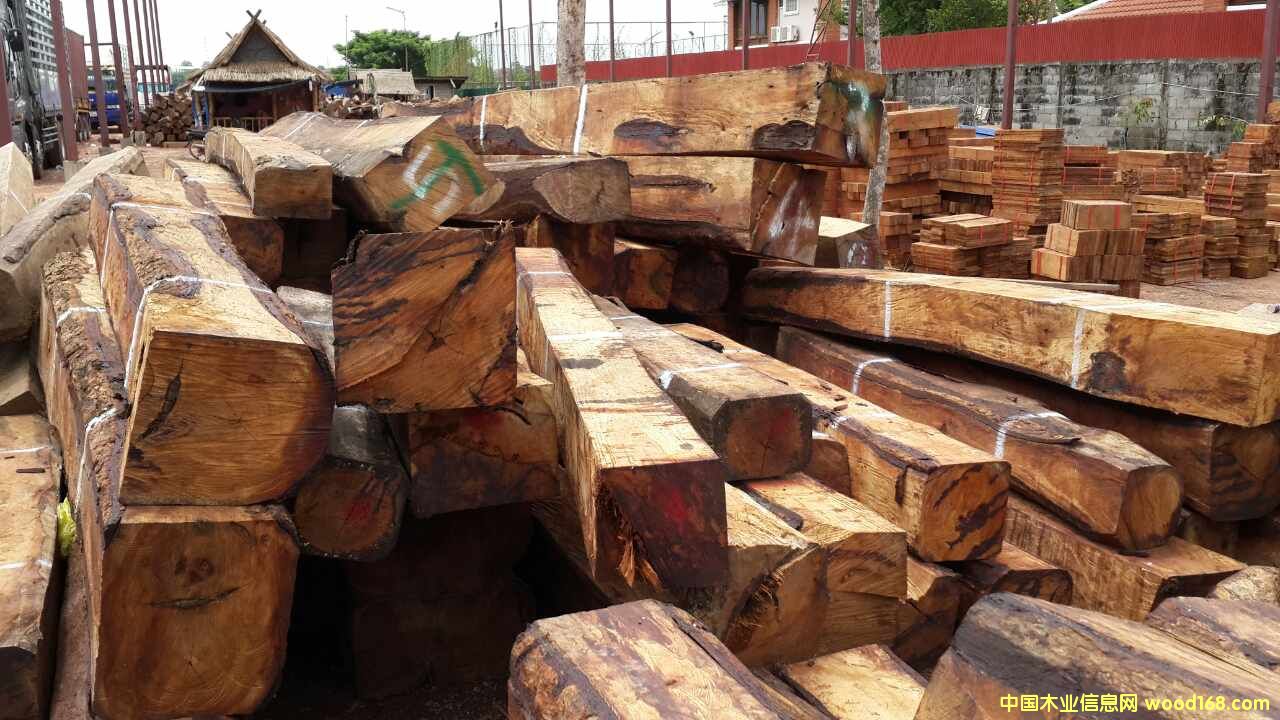 �L�ڹ����ϓ뻨�棨�����̴����Ԕ����B