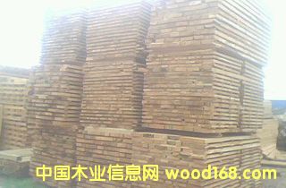 ���ľ��ɰ��Ԕ��(x��)��B